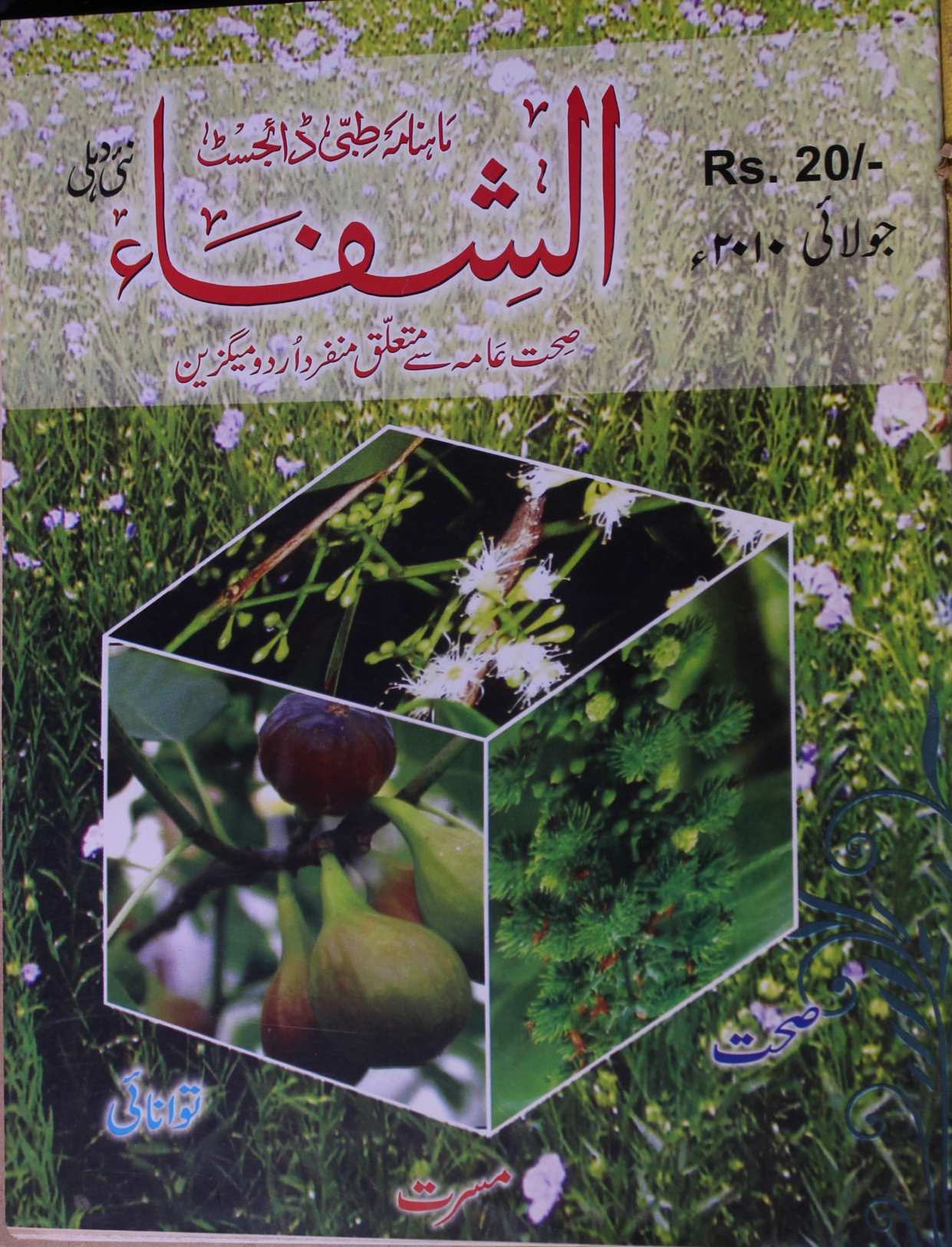 Al Shifa Jild 17 No 7 July 2010