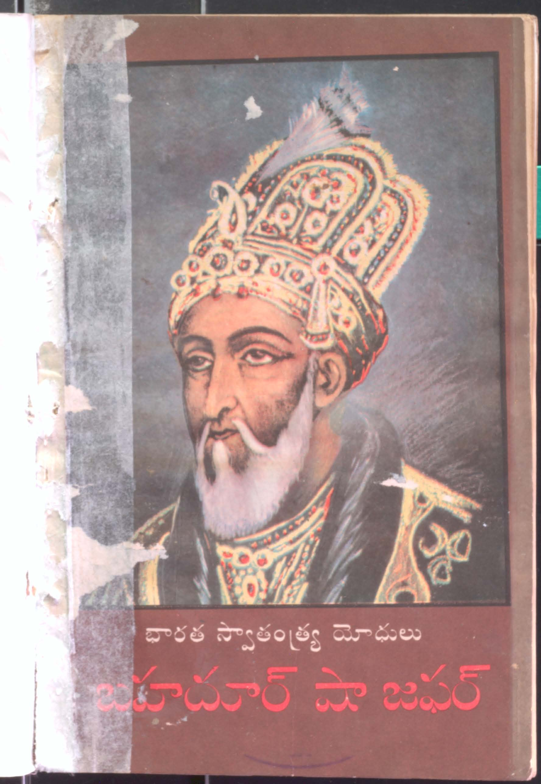 Bharata swathanthra yodulu bagadur shajapal
