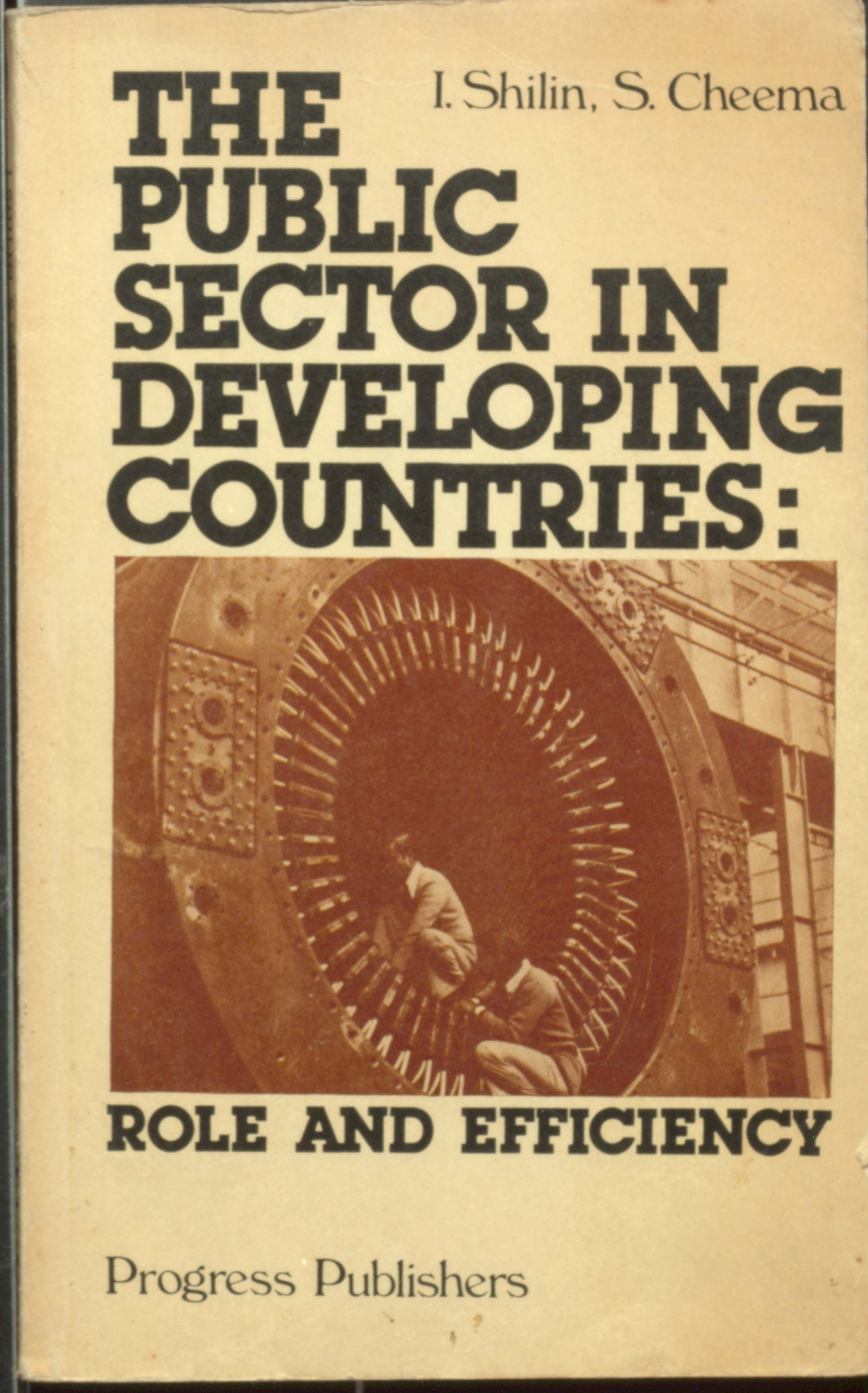 The public sector in developing counries:role and efficiency