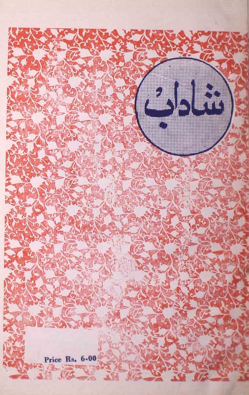 shadab-shumara-number-008-mohammad-qamruddin-sabri-magazines-12