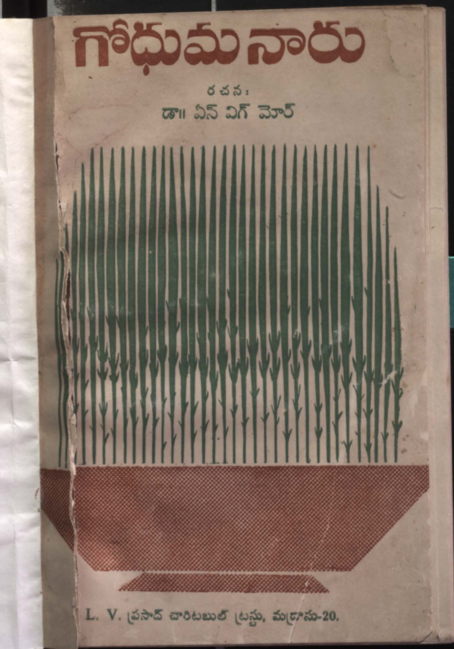 గోధుమ నారు 