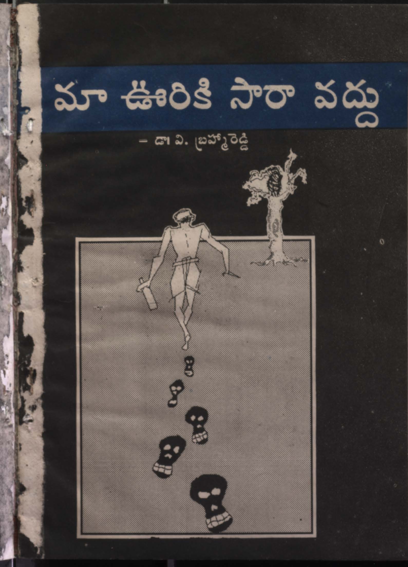 డా.వి.బ్రహ్మారెడ్డి