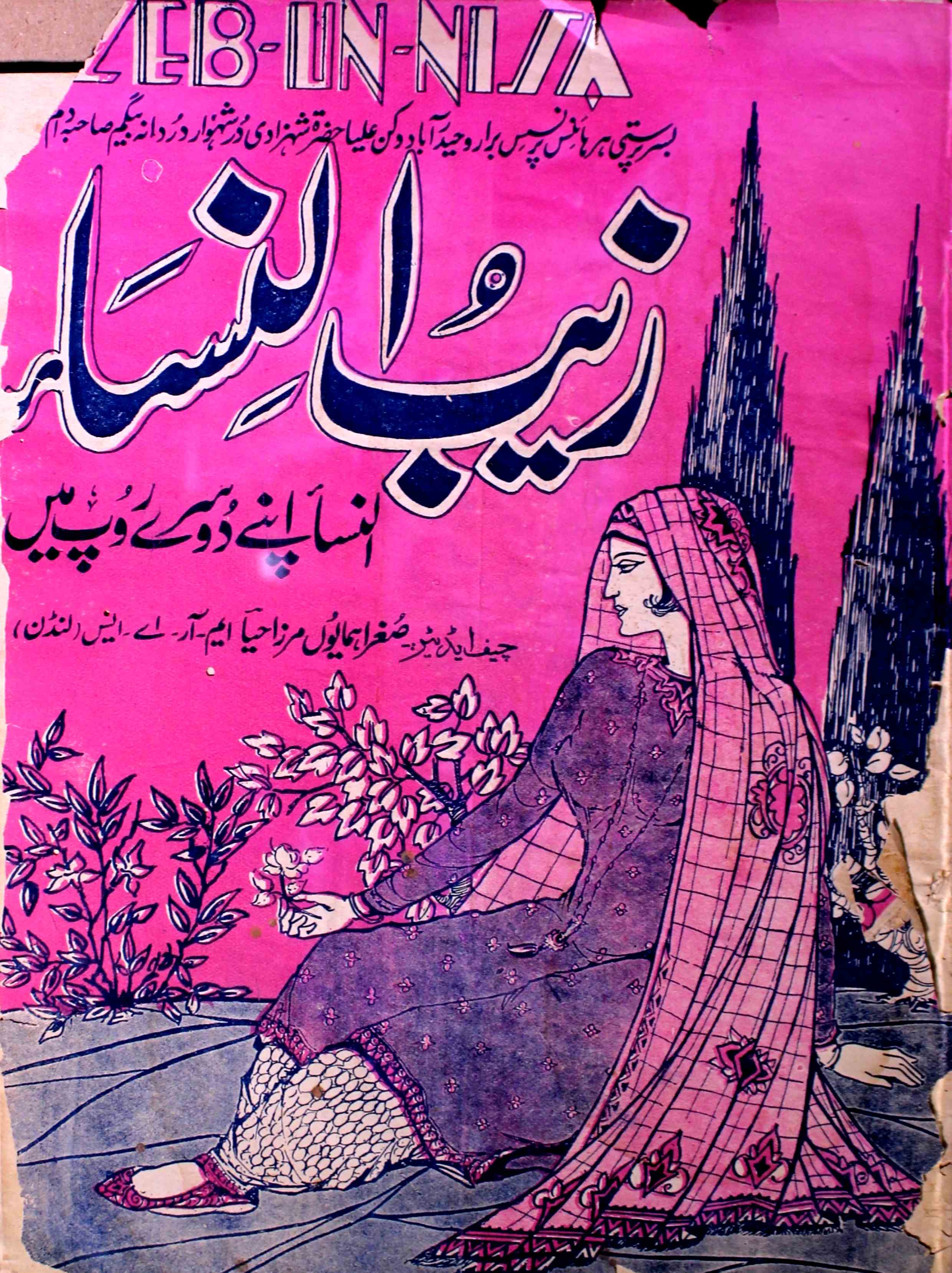 zaib-un-nisa-shumara-number-007-rasheeda-ismat-sughra-humaun-mirza-magazines