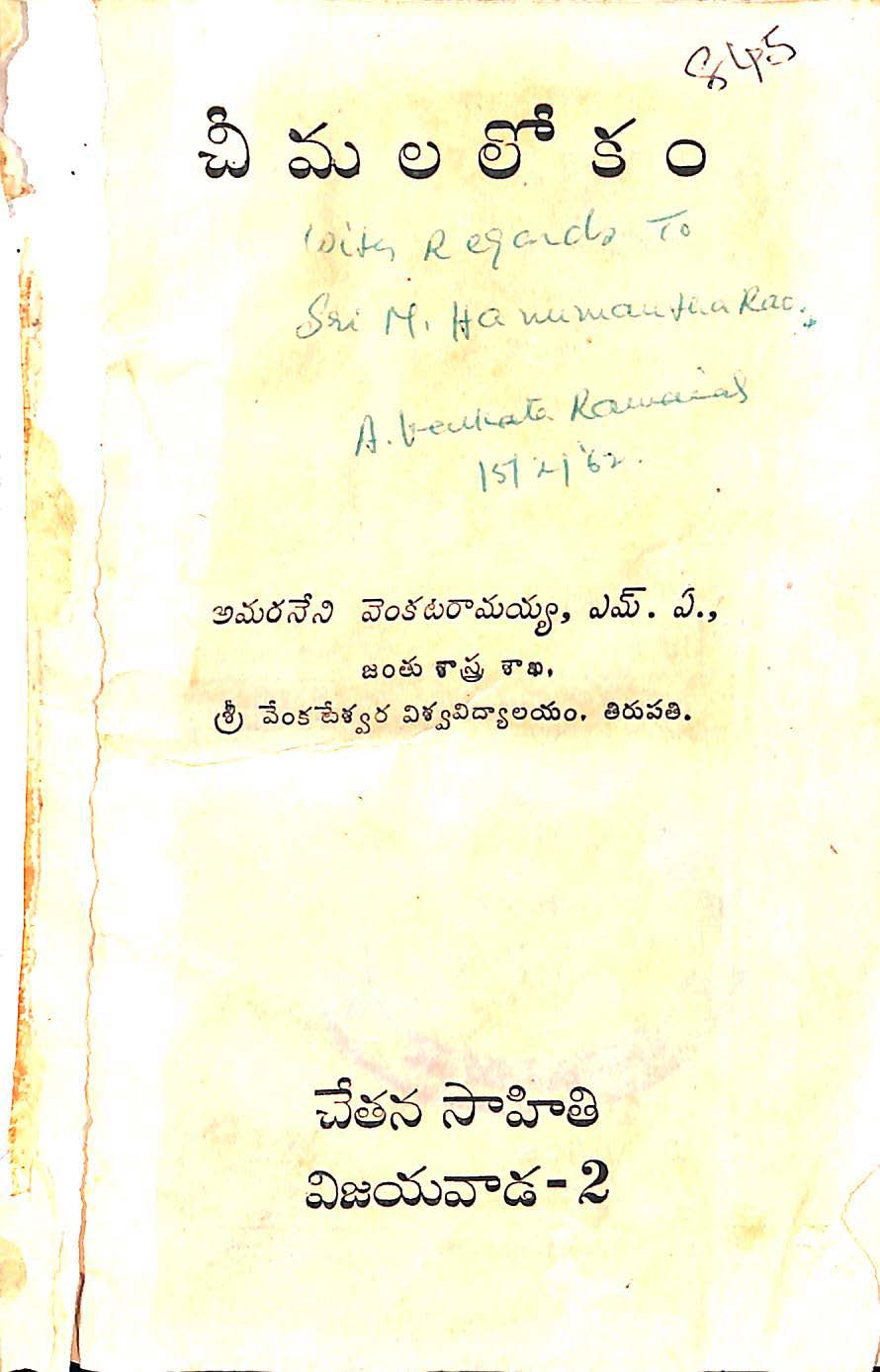 చీమల లోకం 