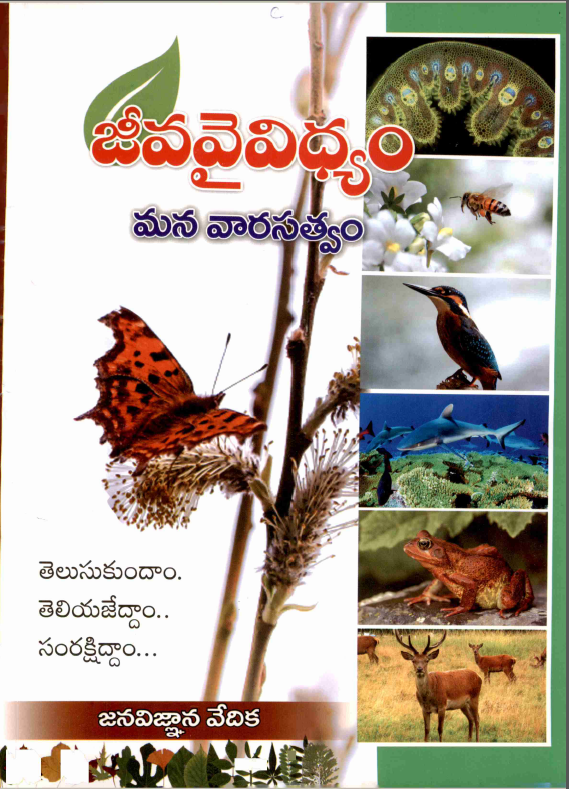 cover page